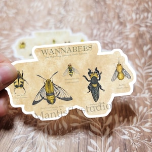 Wannabees: bee mimicking insects of North America Vinyl Sticker