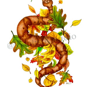 Copperhead Print