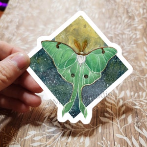 4&quot; Luna Moth Sticker