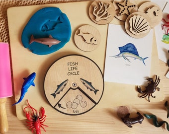 Life Cycle of Fish, Montessori Life Cycle,  Nature Themed Toys, Educational Toys