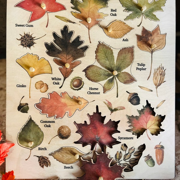 Puzzle montessori en feuille de bois