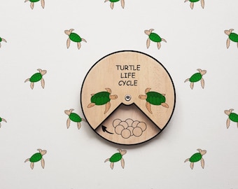 Turtle Life Cycle | Montessori Life Cycle | Life Cycle of Turtle | Nature Inspired Toy
