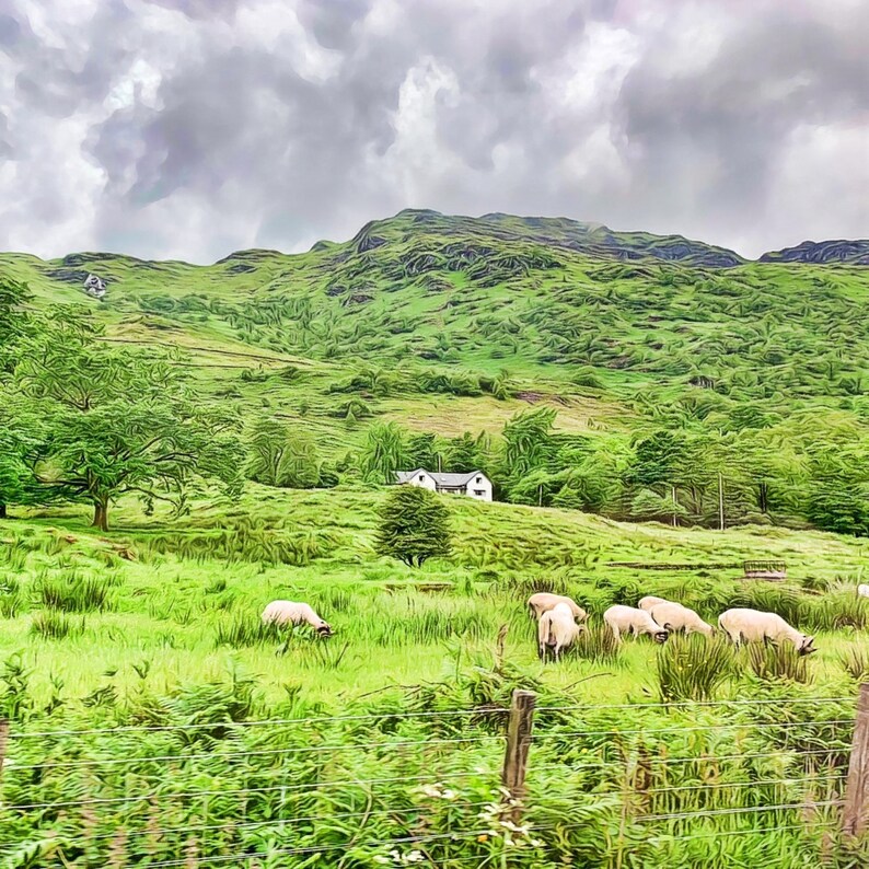 Scottish Countryside / Set of 4 Ceramic Tile Coasters image 4