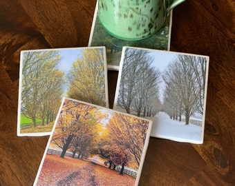 Trees in 4 Seasons / Set of 4 Ceramic Tile Coasters