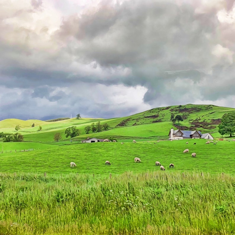 Scottish Countryside / Set of 4 Ceramic Tile Coasters image 5