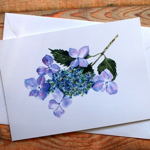 LACECAP HYDRANGEA, impression aquarelle, carte de voeux, anniversaire, ouvert, fête des mères, votre texte