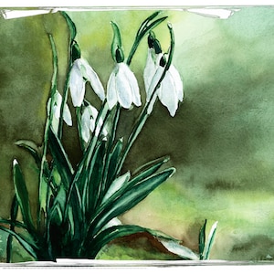 SIMPLY SNOWDROPS - ist eine Aquarell Druck Grußkarte.Offen / Personalisiert / Geburtstag, Vatertag, Ostern. Jede Feier.