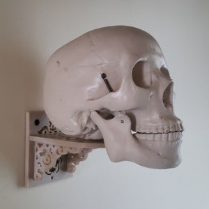 Skull Wall Hanger