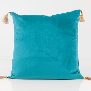 Teal green velvet pillow cover, teal green lumbar pillow cover with tassels, Luxury velvet pillow cover, custom pillow design,