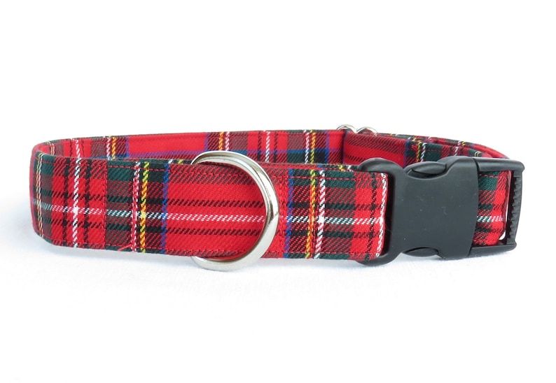 Collar Royal Stewart Tartan Dog Collar for Christmas Photos Etsy