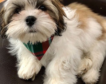 Dog Bandana, Dog Kerchief, New Brunswick Tartan Dog Bandana for Pet Adoption Photos, Red Plaid Kerchief, Small Dog Clothing