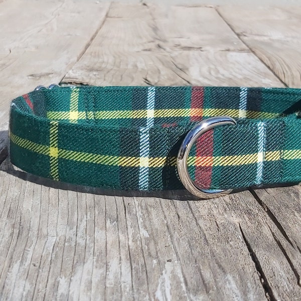 Collier, Collier pour chien en tartan de Terre-Neuve, Cadeau de collier de chien à carreaux vert pour chien, promenade de chien facile pour maman d’animal de compagnie