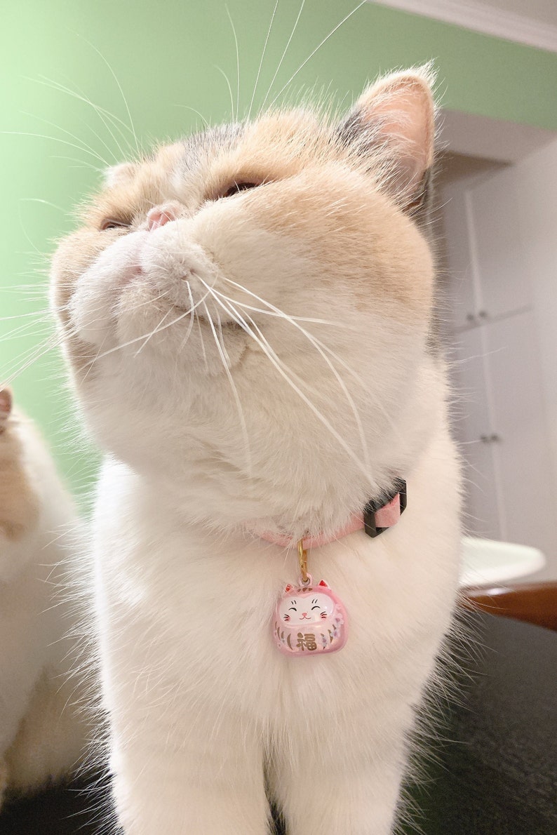 Peut inclure: Un chat blanc et beige portant un collier rose avec un charm rose et dor&eacute;. Le charm est un petit chat souriant avec le kanji japonais pour "fortune". Le chat a les yeux ferm&eacute;s.