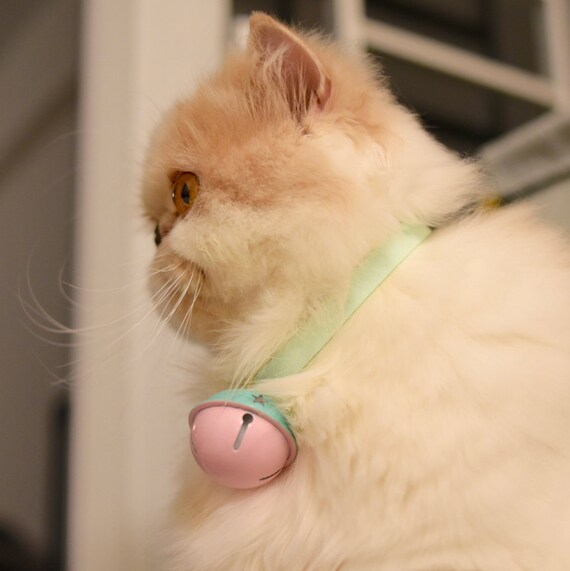 pastel cat collar