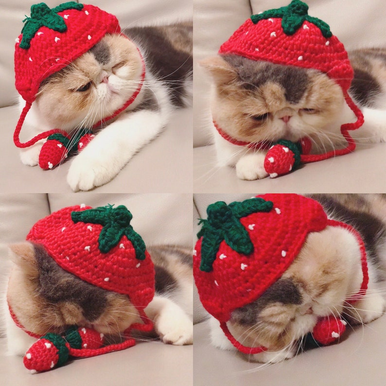 Handmade knitted strawberry hat for pet / for cats / small Etsy