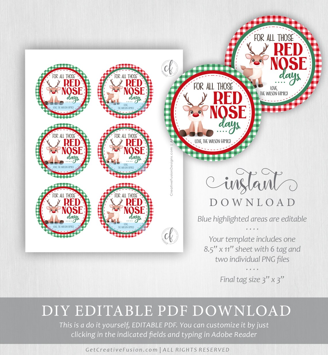 Printable Red Nose Reindeer Tag Rudolph Christmas Tag Tag | Etsy