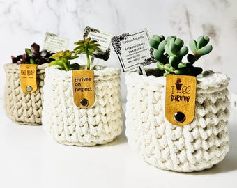Small Crochet planter | Farmhouse | Boho Chic Decor | Faux plant NOT included