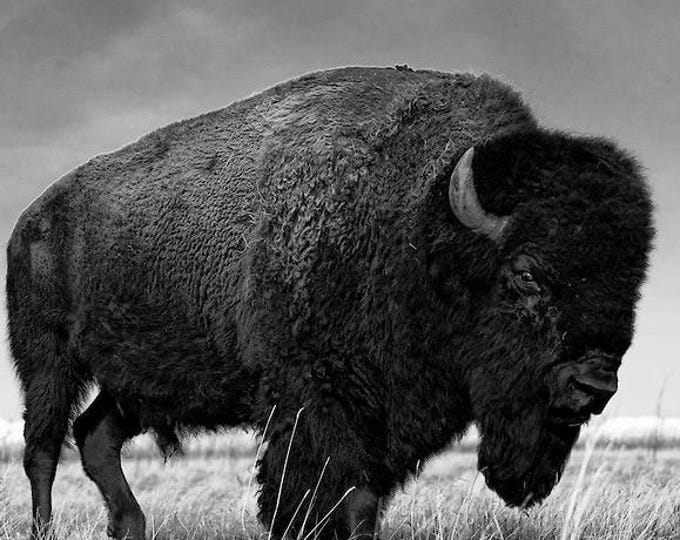 Reserve listing for Faye