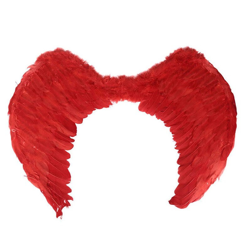 Black Dark Fairy Angel Feather Wings Large 50cm x 50cm Halloween Fancy Dress