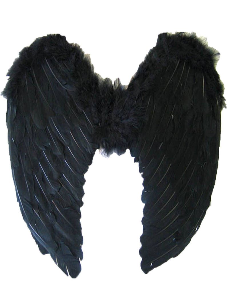 Dark Angel Fairy Feather Wings Halo Fancy Dress Costume Outfit Hen Party BLACK