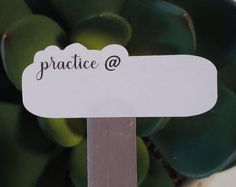 May include: A white label with the text "practice @" attached to a metal stick with a green succulent plant in the background.