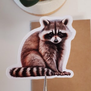 Raccoon Vinyl Sticker | Die Cut, Glossy, Vinyl | 2&quot; Sticker