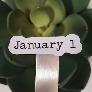 May include: A dark green succulent plant with a white label that reads "January 1" on a silver metal stake. The succulent has thick, rounded leaves and is set against a white marble background.