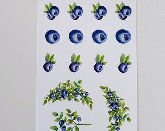 May include: A sheet of stickers featuring blueberries. The stickers are in various sizes and designs, including single blueberries, clusters of blueberries, and blueberry vines. The sheet is white with the text "Fig Tree Works" and "Blueberries" printed at the top. The website address "www.figtreeworks.com" is printed at the bottom.