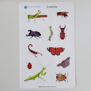 Insects Sticker Sheet | Planner and Journal Stickers | Decoration Stickers | Matte Finish