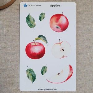 Apples Sticker Sheet | Planner and Journal Stickers | Decoration Stickers | Matte Finish