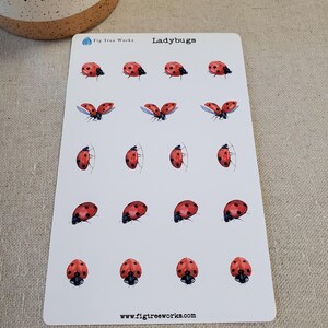 May include: A sheet of stickers featuring red and black ladybugs in various poses. The stickers are arranged in a grid pattern on a white background. The text "Ladybugs" and "Fig Tree Works" are printed at the top of the sheet. The website address "www.figtreeworks.com" is printed at the bottom of the sheet.