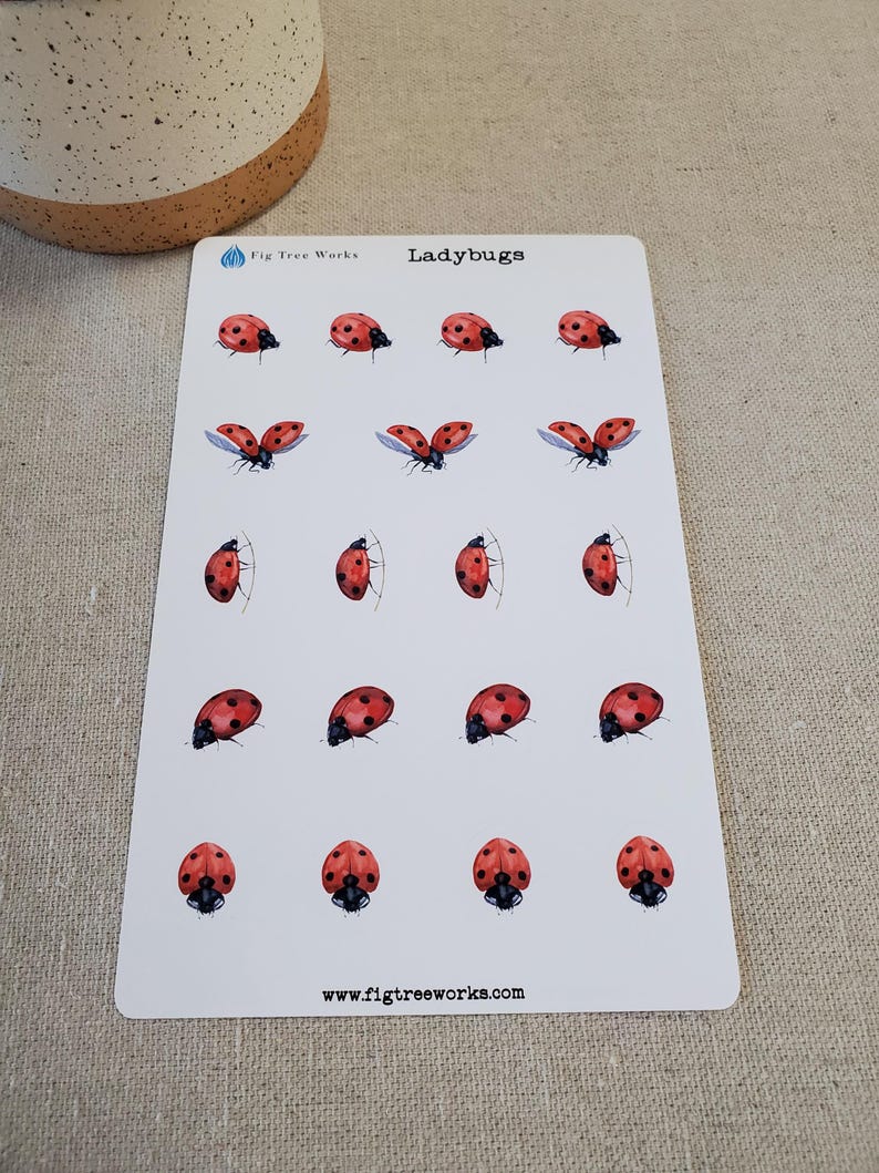 May include: A sheet of stickers featuring red and black ladybugs in various poses. The stickers are arranged in a grid pattern on a white background. The text "Ladybugs" and "Fig Tree Works" are printed at the top of the sheet. The website address "www.figtreeworks.com" is printed at the bottom of the sheet.