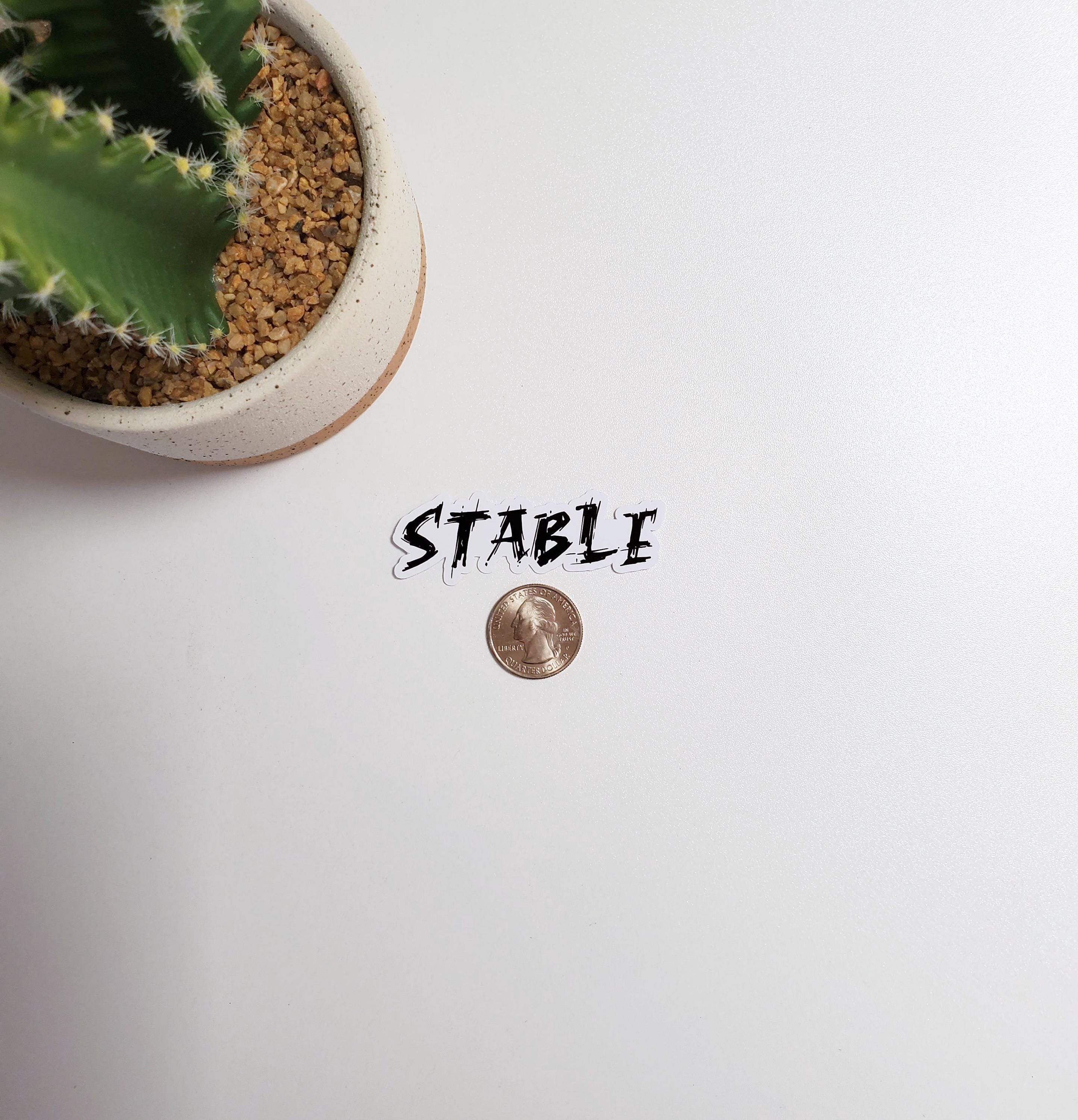 Stable Sticker Stable Text Sticker | Laptop, Water Bottle, Phone Case Sticker ...