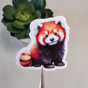 May include: A red panda sticker with a white background. The red panda is sitting with its tail curled behind it. The red panda has a black nose and black eyes.