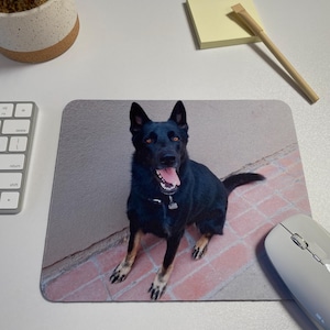 May include: A black German Shepherd dog sits on a brick patio, looking at the camera with its tongue sticking out. The dog is in front of a light gray wall.