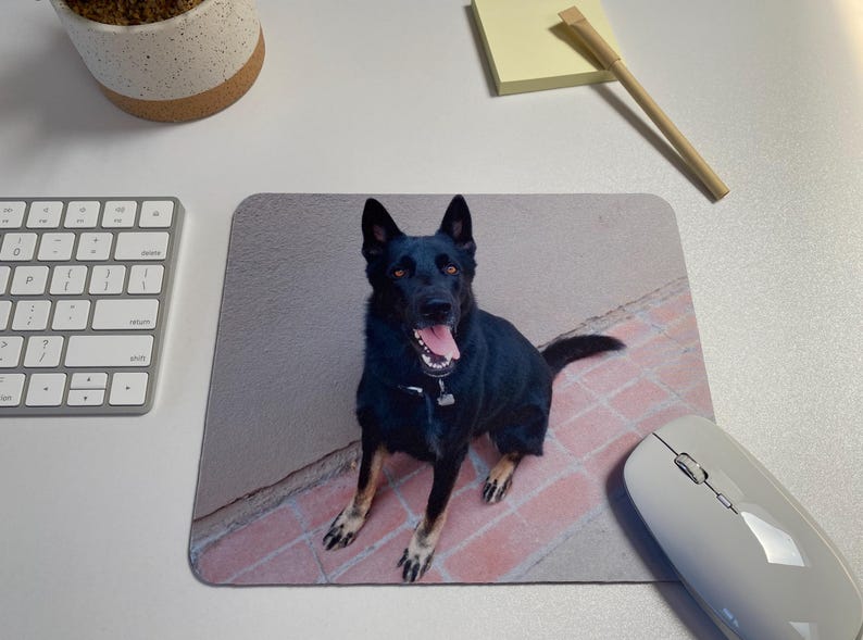 May include: A black German Shepherd dog sits on a brick patio, looking at the camera with its tongue sticking out. The dog is in front of a light gray wall.