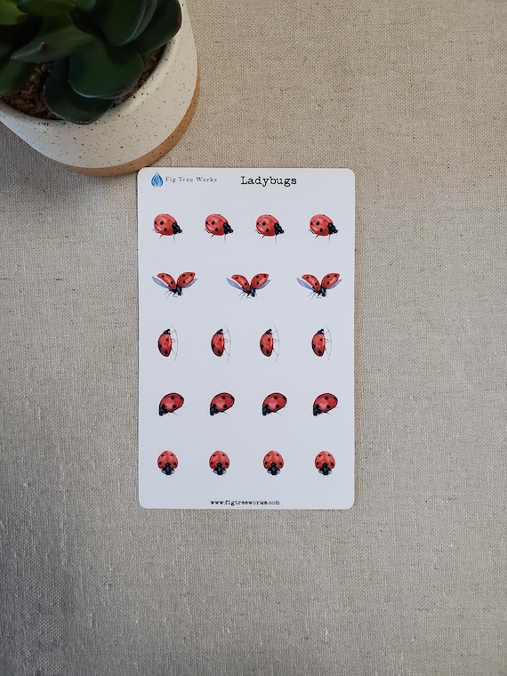 Ladybugs Sticker Sheet for Planners and Journals | Bug Insect Decoration Stickers | Matte Finish