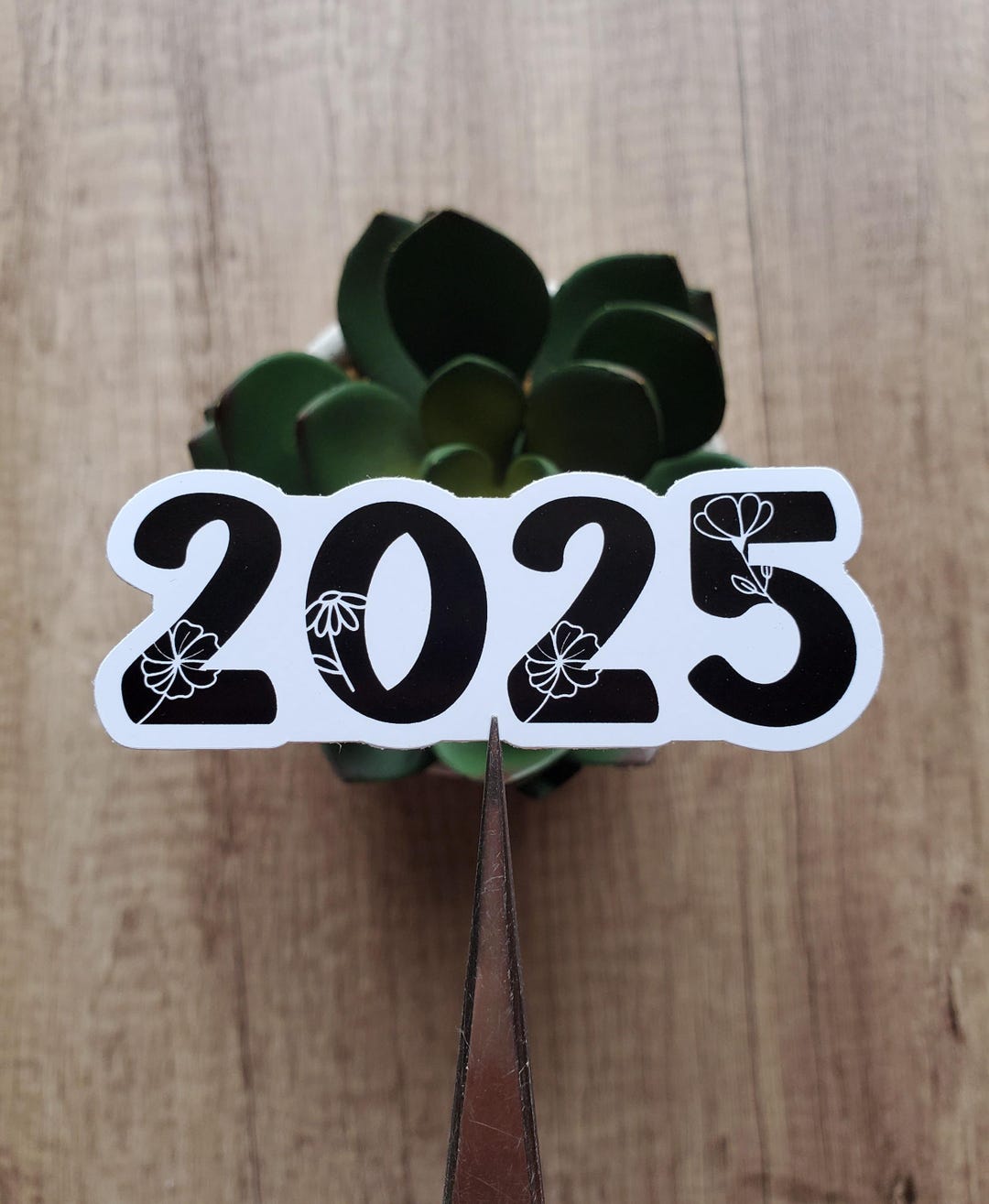 Man 2025-2026 ON クリアステッカー　ソフビ Man 2025-2026 ON クリアステッカー ソフビ 6月の「ウルトラソフビの日