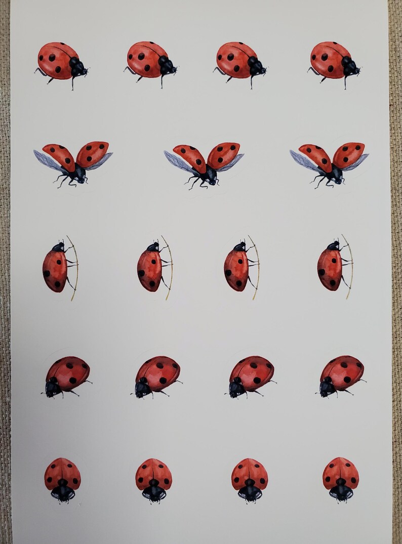 May include: A sheet of stickers featuring 15 red ladybugs with black spots. Some ladybugs are flying with their wings open, while others are walking on a thin twig.
