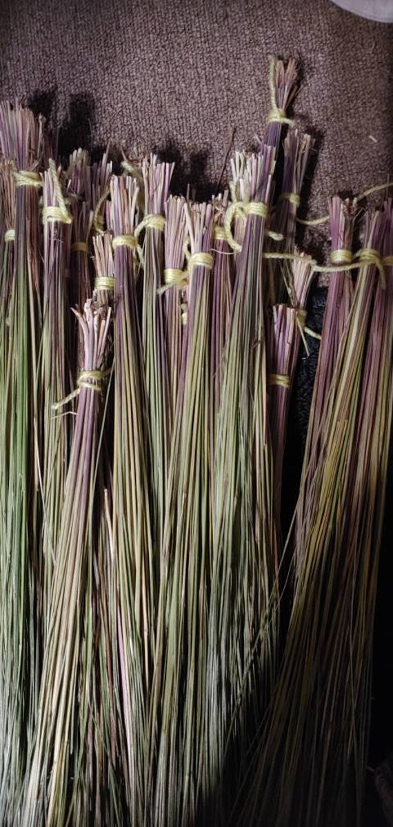 Loose Sweetgrass Bundle 21 Strands Holy Grass Vanilla Grass Etsy Canada