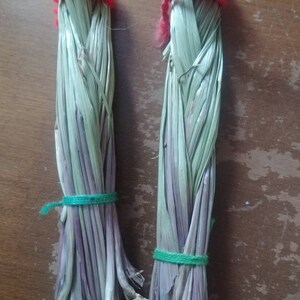 10 Sweetgrass Braids  choose your length 3-36 in Freshly braided   sweetgrass July  2023. Hierochloe odorata , Buffalo Grass, wekusk