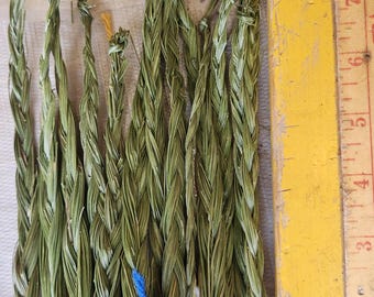 Green Sweetgrass Braids         up to 36 inches .Pick your length. Hierochloe odorata ,Buffalo Grass, wekusk