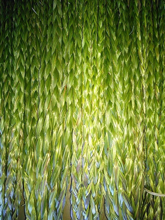 Braided Sweetgrass