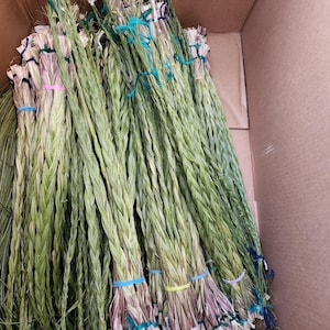Fresh Green Sweetgrass Braids   up to 36 inches .Pick your length. Hierochloe odorata ,Buffalo Grass, wekusk