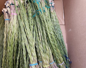 Fresh Green Sweetgrass Braids   up to 36 inches .Pick your length. Hierochloe odorata ,Buffalo Grass, wekusk