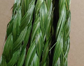 10 Sweetgrass Braids  choose your length 3-36 in Freshly braided   sweetgrass July  2023. Hierochloe odorata , Buffalo Grass, wekusk