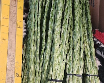 10 Freshly braided Sweetgrass Braids . sweetgrass.  Hierochloe odorata , Buffalo Grass, wekusk