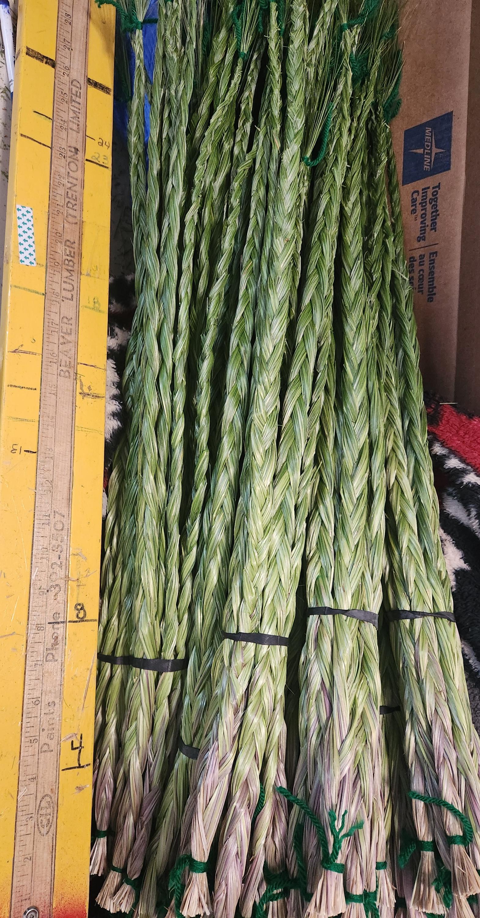 10 Freshly braided Sweetgrass Braids . sweetgrass.  Hierochloe odorata , Buffalo Grass, wekusk *US customers see description*