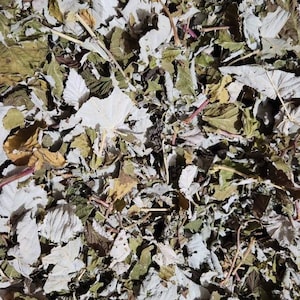 Dried raspberry leaves per cup