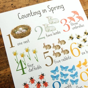 Zählen im Frühling - Lernposter - Druckbarer digitaler Download - Homeschooling - Montessori - Spielzimmer - Zahlen 1-10